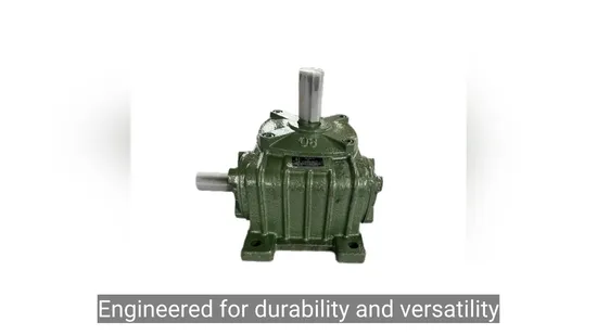 Wp Series Right Angle Gear Motor Reducer with Cast Iron Housing 