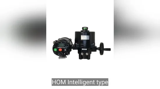 Hom Quarter Turn Actuator Planetary Gear Can Be Controlled by Handle While Working, Used for Control Ball Valve and Control Butterfly Valve IP68 as Option 100nm 
