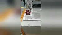 Linear Motion Guideway Motorized Linear Stage for Polisher Machine 
