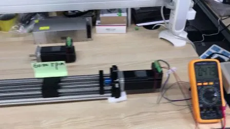 Integrated 3000 Rpm DC Brushless BLDC Servo Motor with Driver 