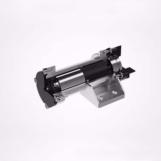 Zhaowei Throttle Control Actuator 24V High Torque Planetary Gearbox Brushless Worm DC Gear Motor for Small Excavator Throttle Control